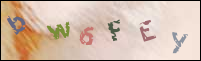 Registration Image
