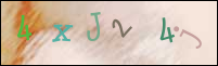 Registration Image