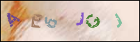 Registration Image