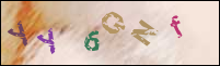 Registration Image