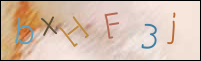Registration Image