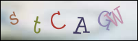 Registration Image