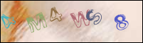 Registration Image