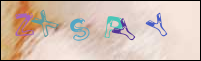 Registration Image