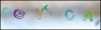 Registration Image