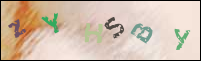 Registration Image