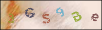 Registration Image
