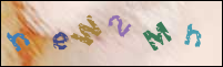 Registration Image