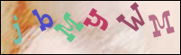 Registration Image