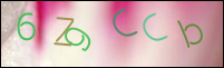 Registration Image