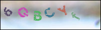 Registration Image