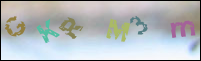 Registration Image