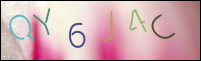 Registration Image