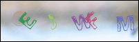Registration Image