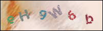 Registration Image