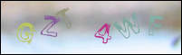 Registration Image