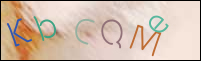 Registration Image