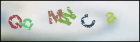 Registration Image