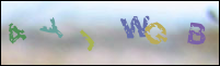 Registration Image