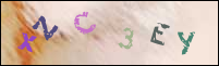 Registration Image