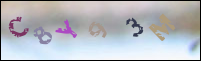 Registration Image