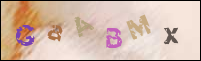 Registration Image