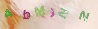 Registration Image