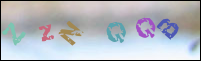 Registration Image