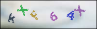 Registration Image