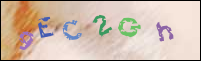 Registration Image