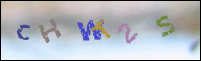 Registration Image