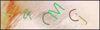 Registration Image