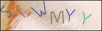 Registration Image