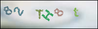 Registration Image