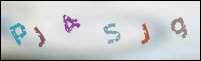 Registration Image