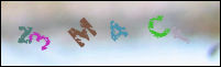 Registration Image