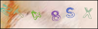Registration Image
