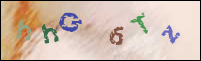 Registration Image