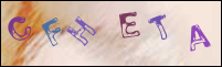 Registration Image