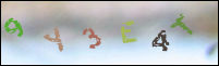 Registration Image