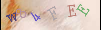 Registration Image