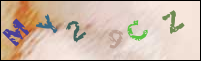 Registration Image