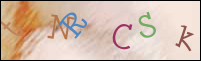Registration Image