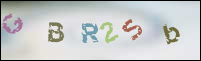 Registration Image
