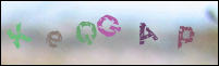 Registration Image