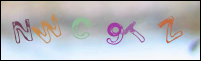 Registration Image