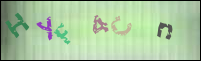 Registration Image