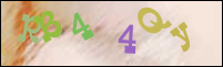 Registration Image