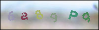 Registration Image
