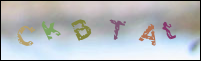 Registration Image